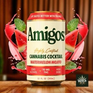 Amigos| Bebidas | Cannabis Cocktail | Delta 9 THC 10 mg/pza | 355 ml