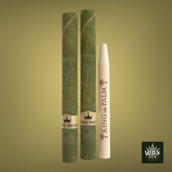 Conos KING PALM 1g | Calidad Premium + Filtros con Sabor Natural