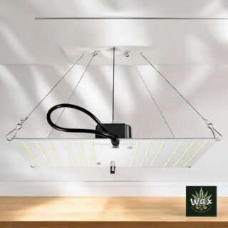 Lámpara de cultivo | HLG 100 V2 4000K