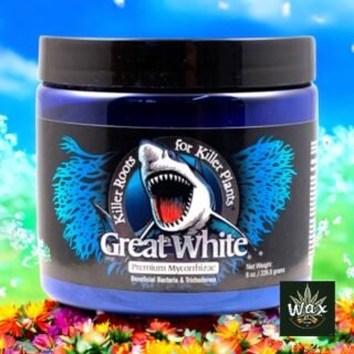 Great White Micorrizas Premium 28 g | Hongos Micorrízicos + Trichoderma + Bacterias Benéficas