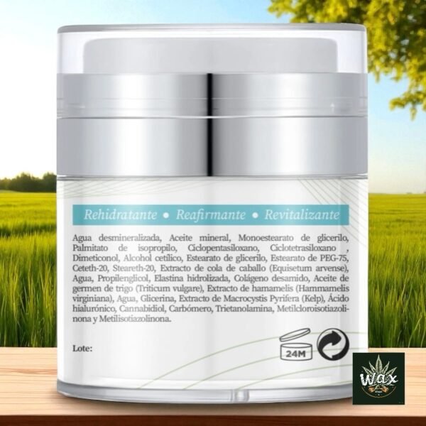 Crema facial para pieles grasas | CBD, ácido hialurónico y colágeno | Hidratante y Antiarrugas | Esencia Mental