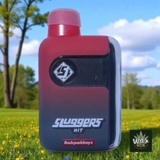 Sluggers x Backpackboyz – Vape Desechable 2g
